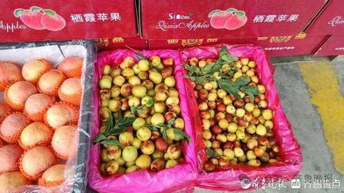 冬棗變“夏棗”？反季上市價高銷量漲，25元一斤仍受熱捧