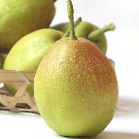 陜西紅香酥梨 源于庫爾勒香梨的新鮮之選，郵樂官網批發正當時